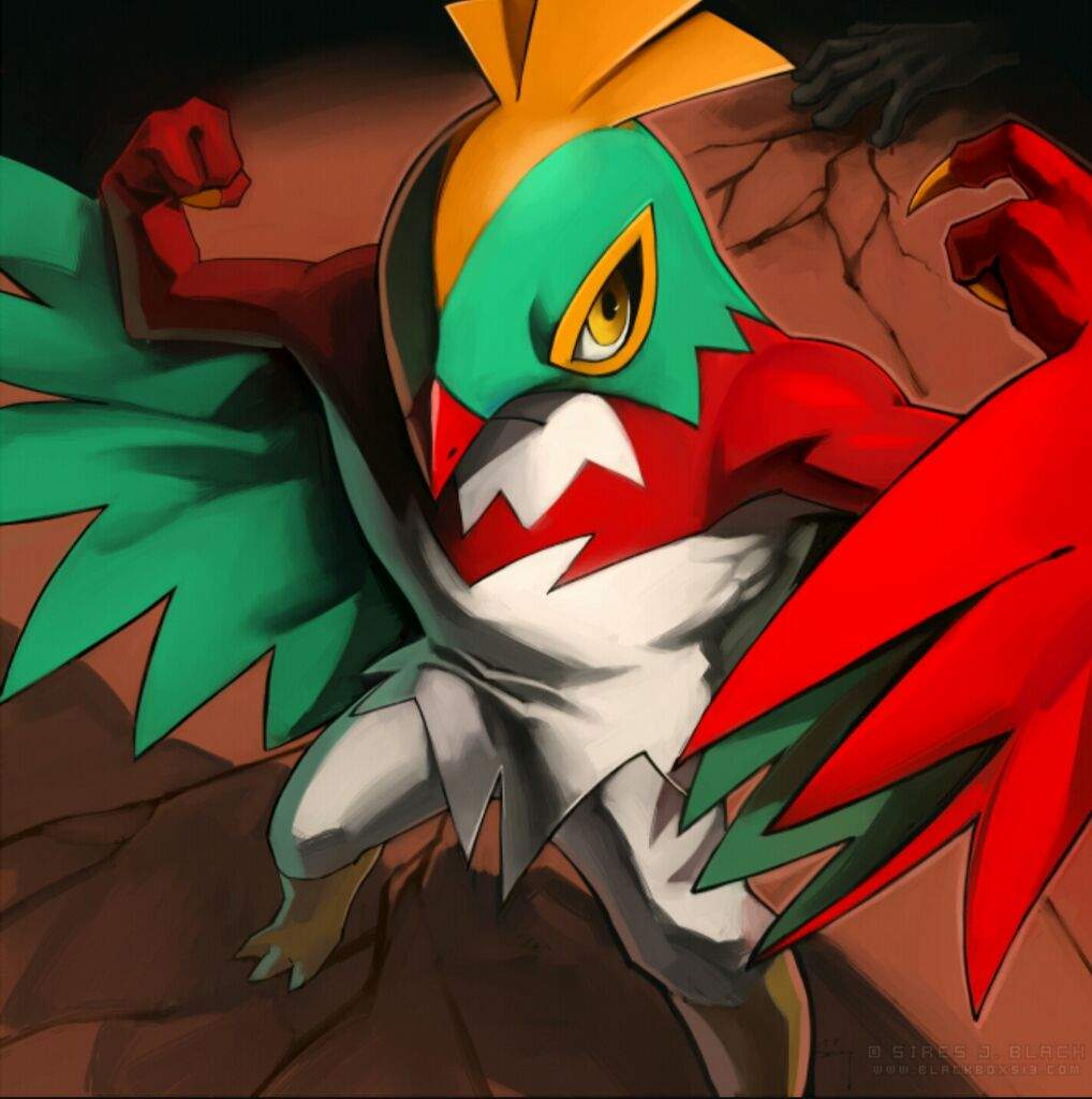 lucha.jpg