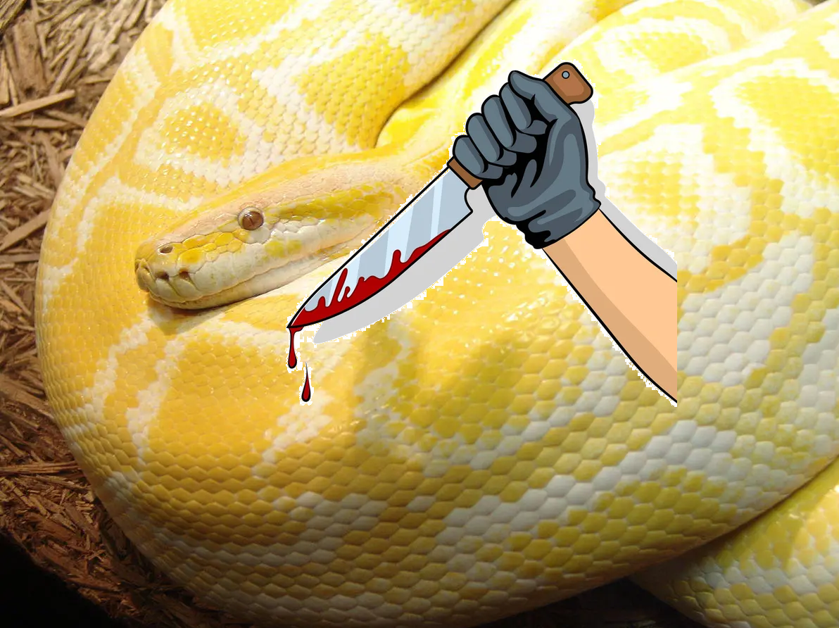 mafia snek.png