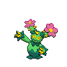 maractus.png