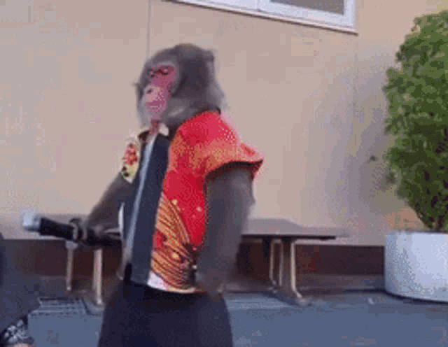 marajforlife-monkey.gif