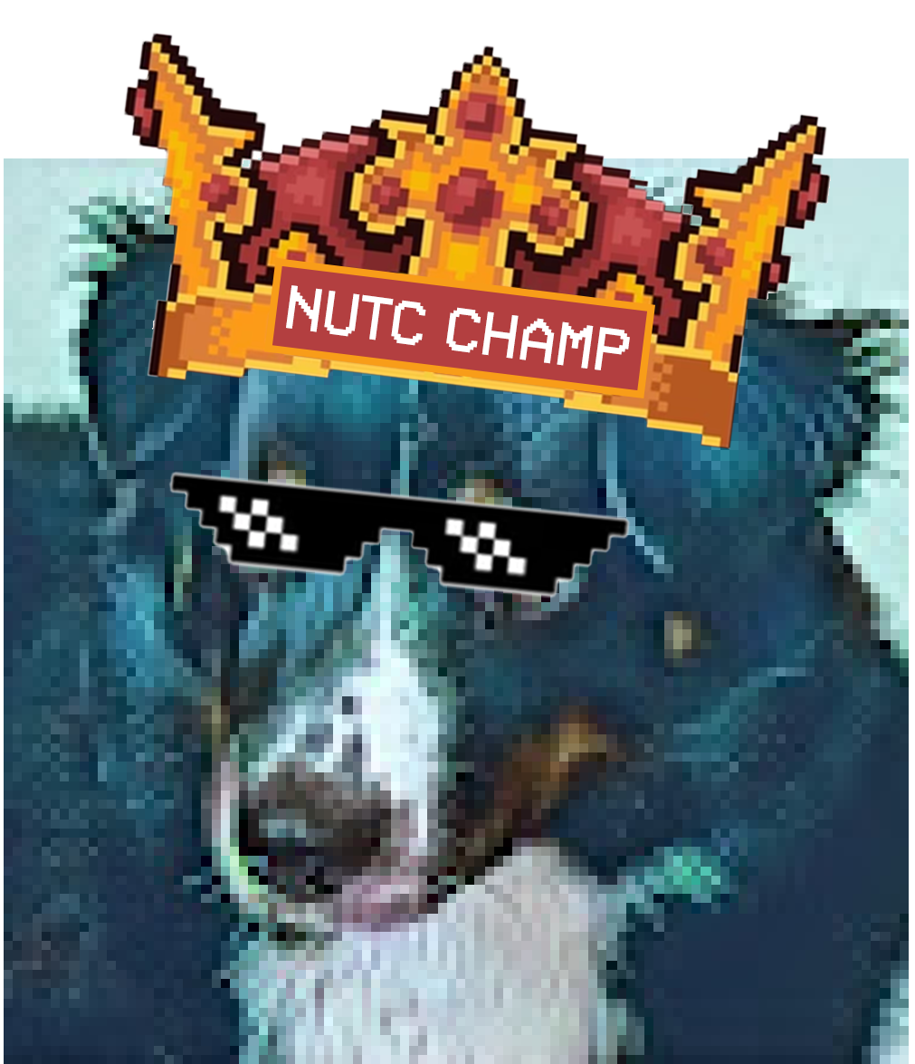 MattNUTCWin.png