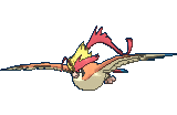 Mega-Pidgeot_ROZA.png