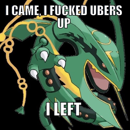 memed0ba8cc40346bcd8.jpg