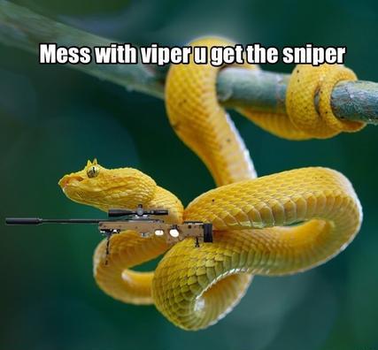 mess with snek.jpg