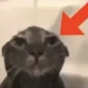 mfw.png