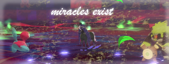 miracle p2.png