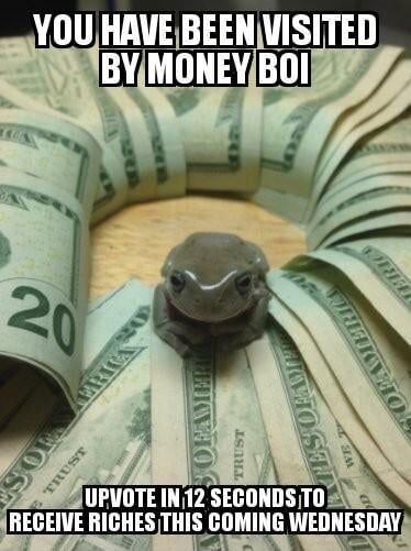 money boi.png