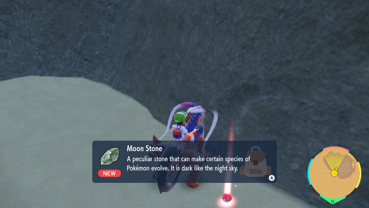 Moon Plants.jpg
