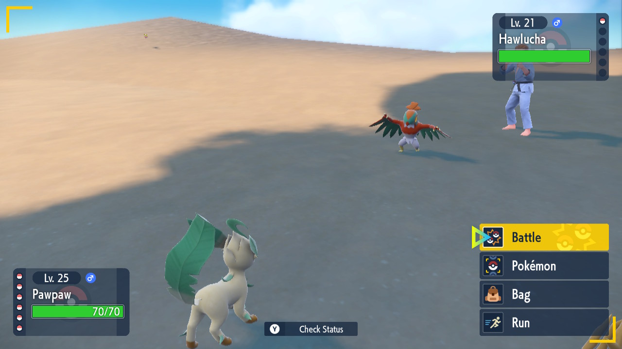 More Birds.jpg