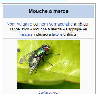 Mouche à merde.png