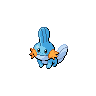 Mudkip.png