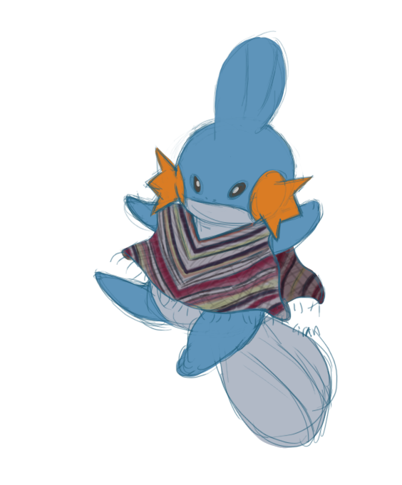 mudkip-poncho2.png