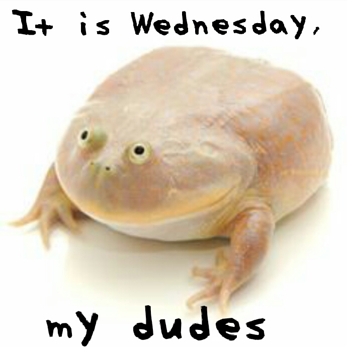my dudes.jpg
