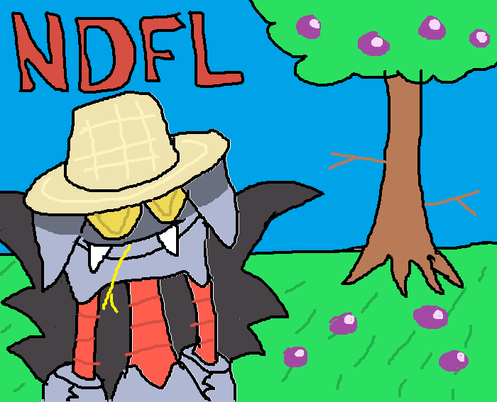 NDFL banner.png