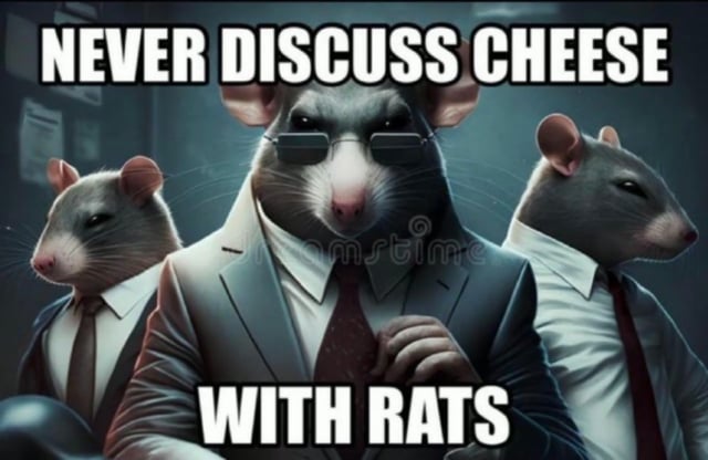 never-discuss-cheese-with-rats-v0-UxcfvvBUNqniR4O21kjl_Z0awOuokm8YKy1S5WEJN4Q.jpeg
