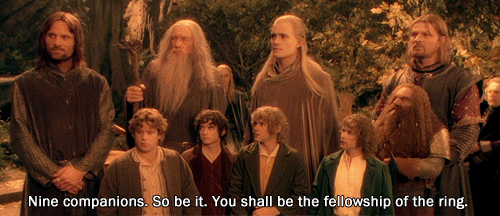 nine companions.gif