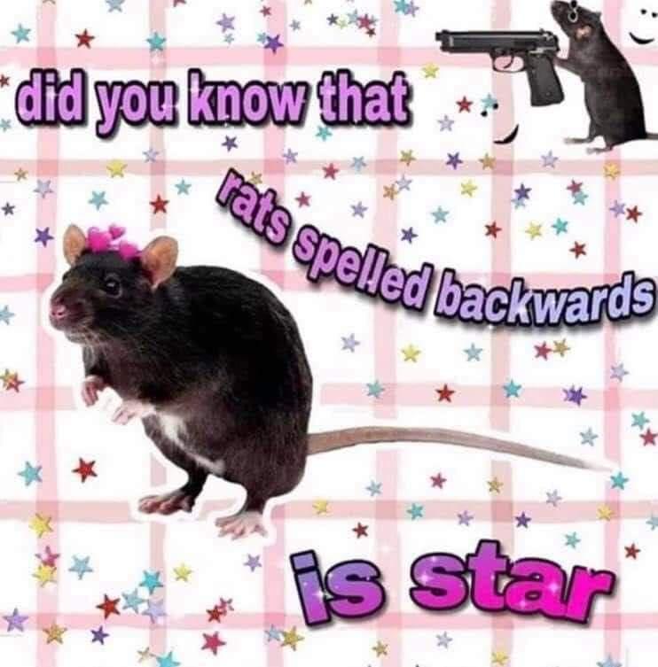 nJopmnf.jpg