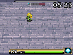 noctowl1.gif