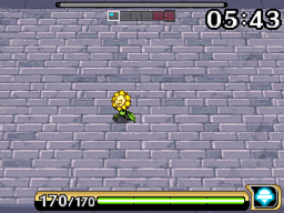noctowl4.gif