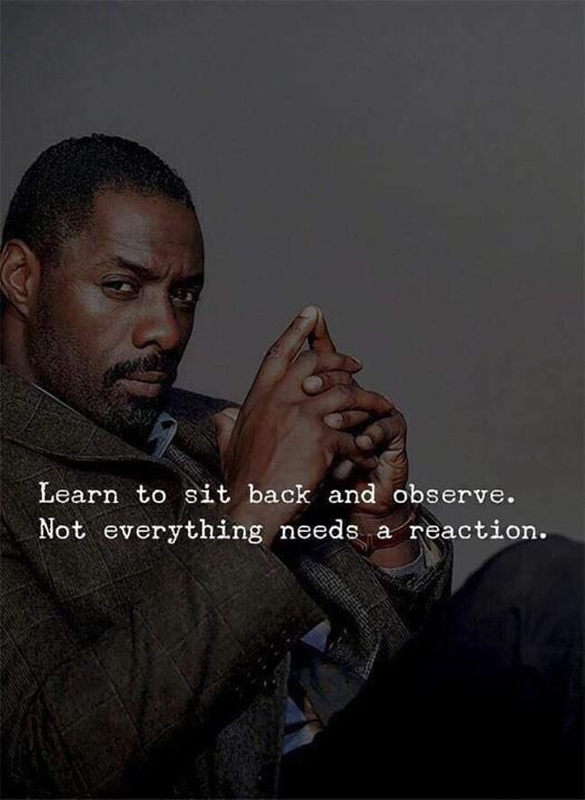 not everything.jpeg