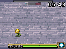 numel1.gif