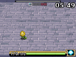 numel4.gif