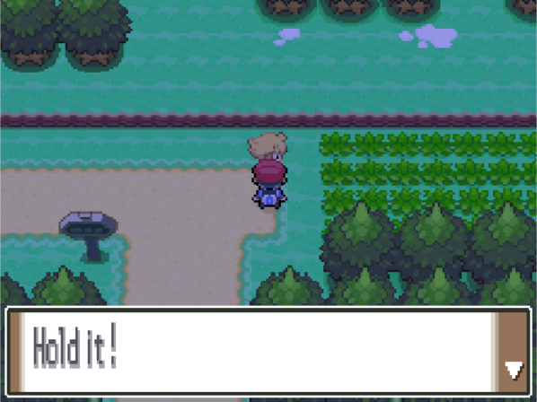 Nuzlocke5.png