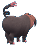 oinkologne-f.gif