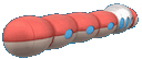 orthworm.gif
