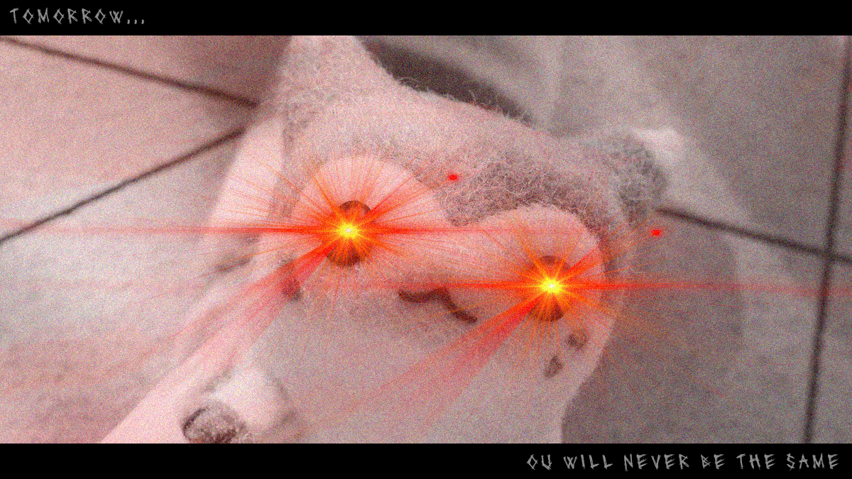 OU Furret.png
