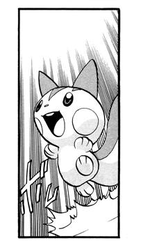 pachirisu.JPG
