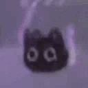 partycat.gif
