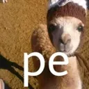pe.webp