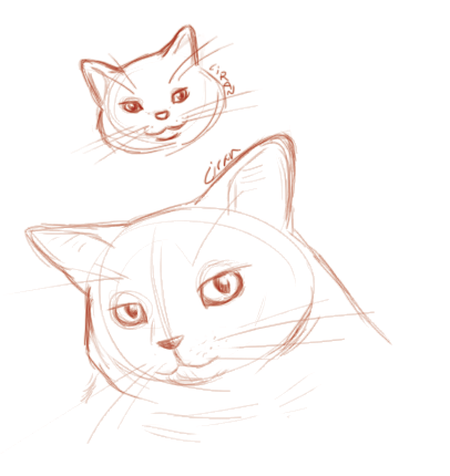pets.png