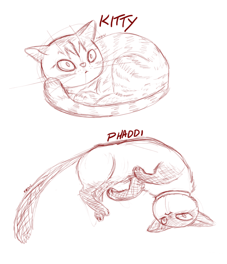 pets2.png