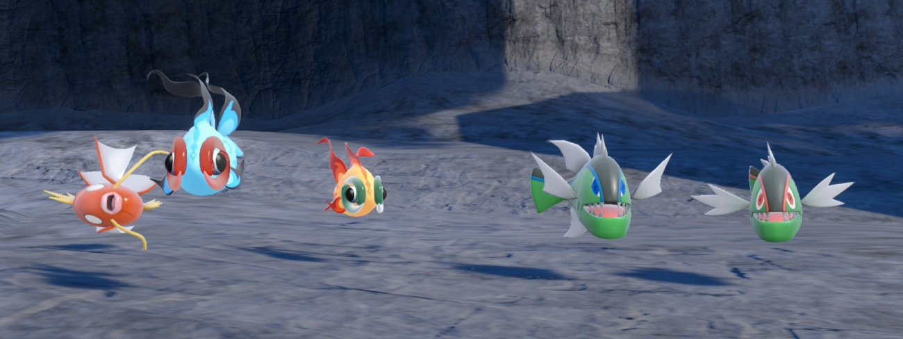 Photos_vpkr4dVIWZ.png