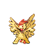 Pidgeop.png