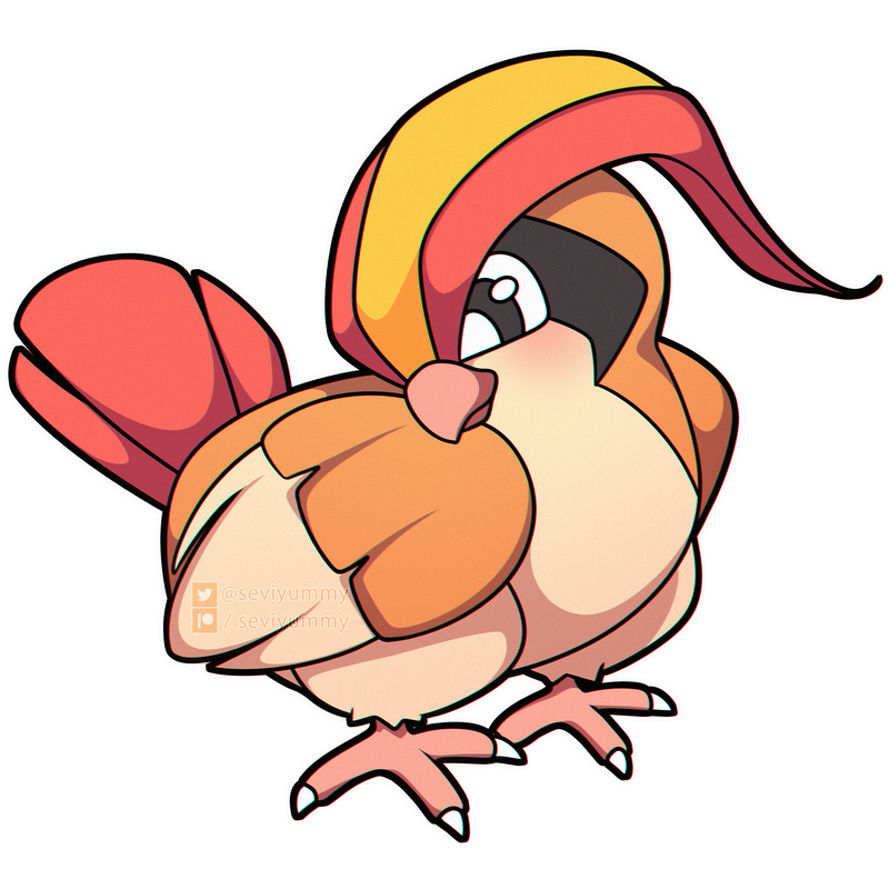 pidgeot.png