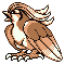 Pidgeot Red Sprite.png