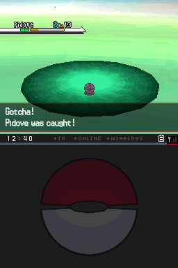 pidove2.png