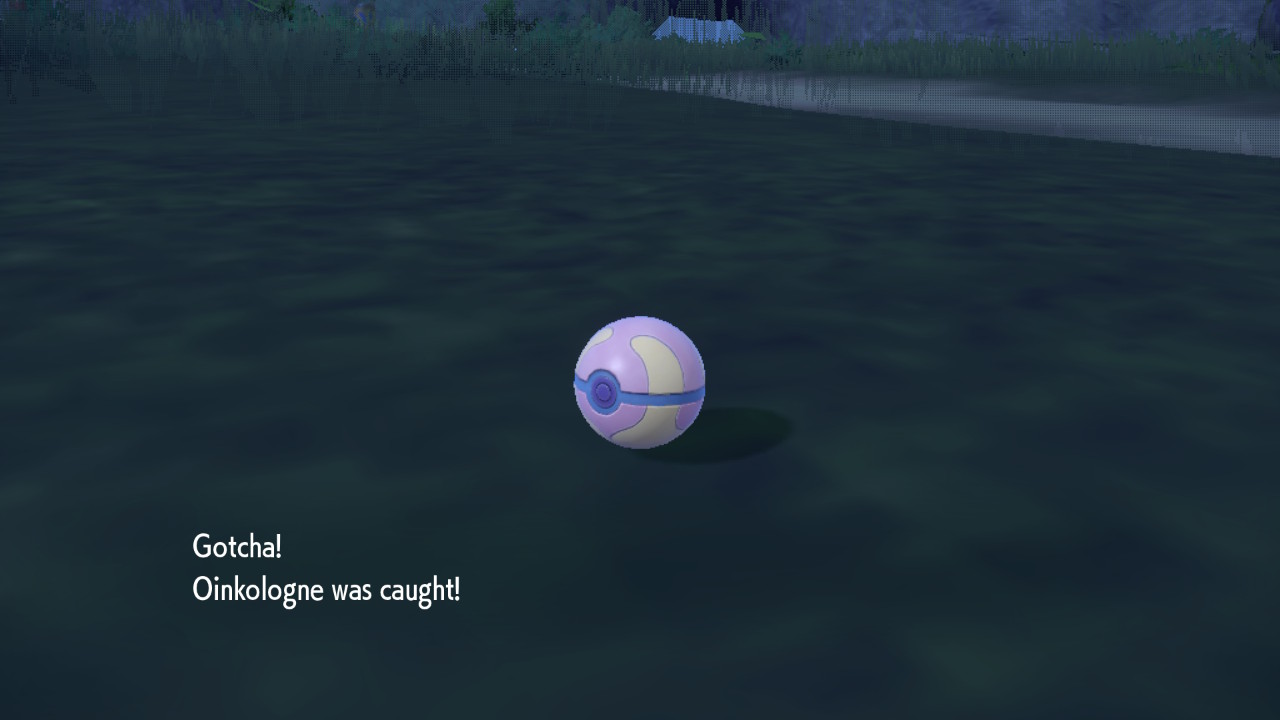 Pig Caught.jpg