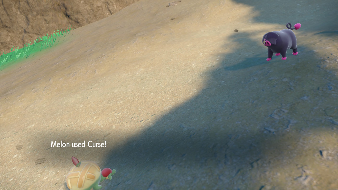 Pig Trainer_2.jpg