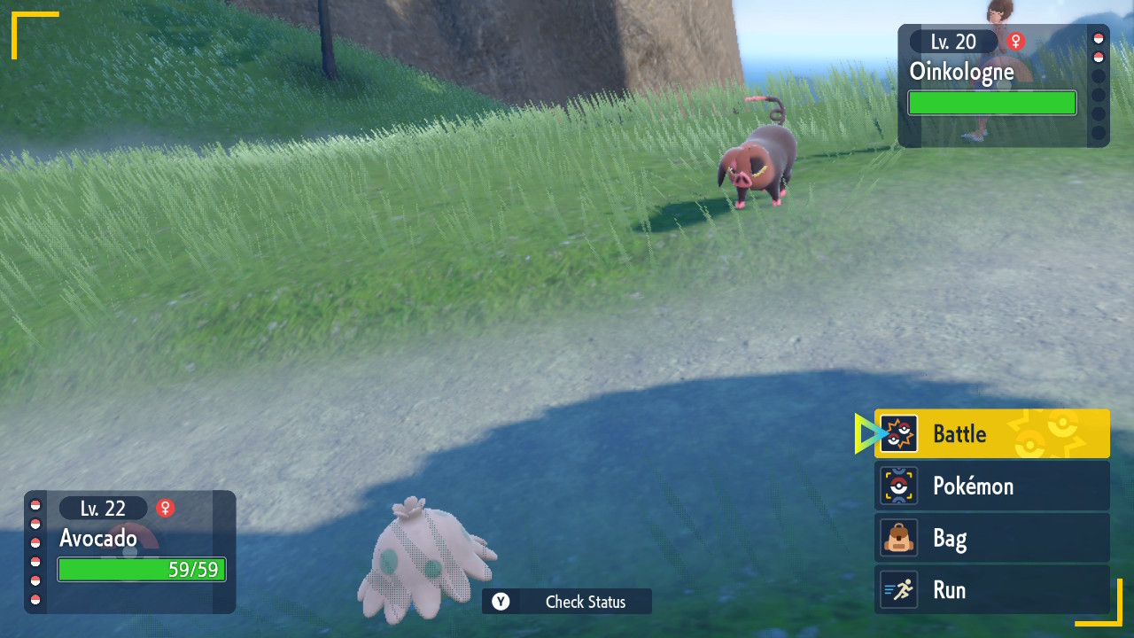 Pig vs Truffles.jpg