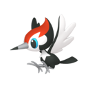 pikipek.png