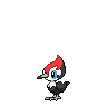 pikipek.png