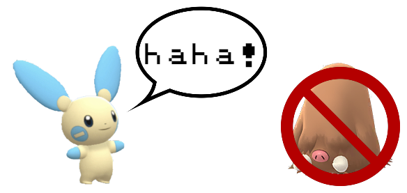 pilo adv.png