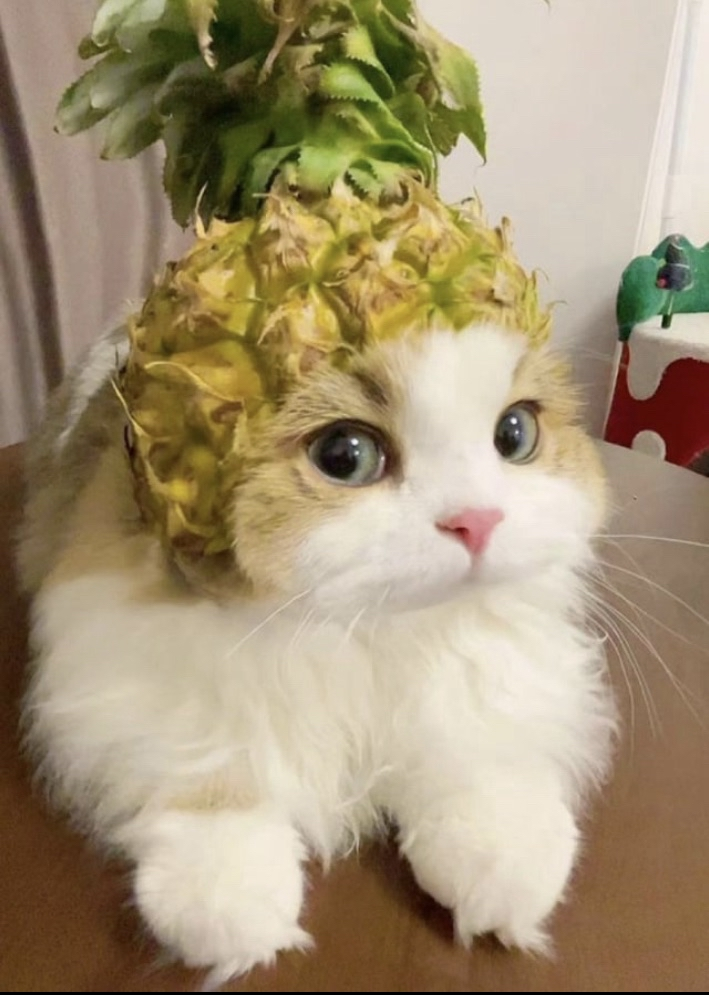 pineapple.png