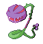 plant snake.png