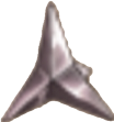 PNG image.png