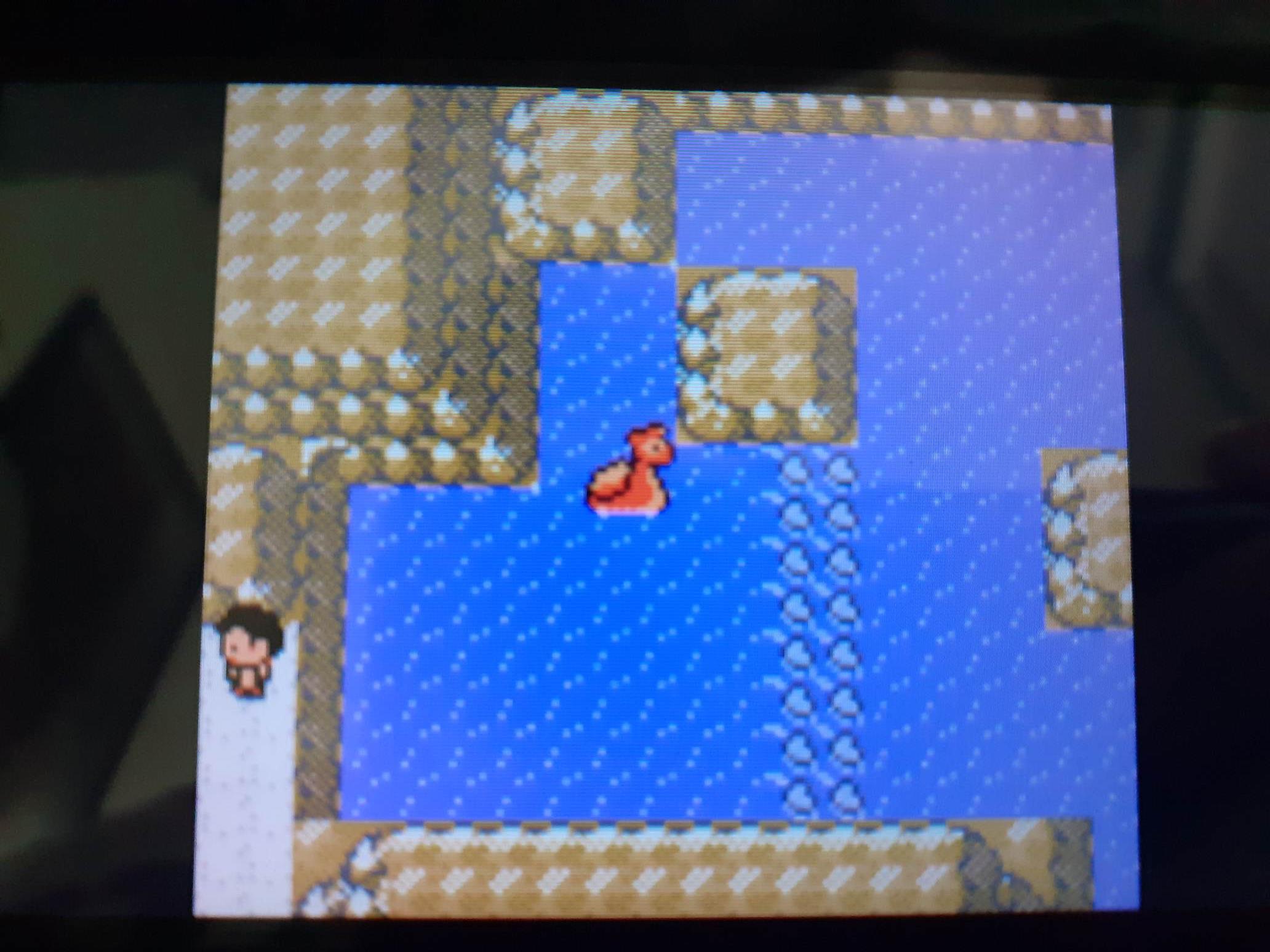 pointless pond.JPG